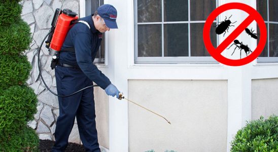 Boğazlıyan Uçan Haşere İlaçlama böcek ilaçlama ve haşere kontrolü — ilaclama-tr.com